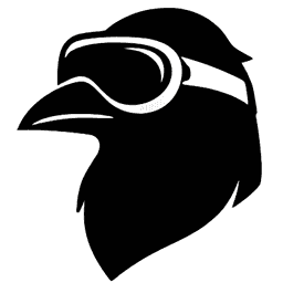 raven.vision logo