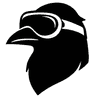 raven.vision logo